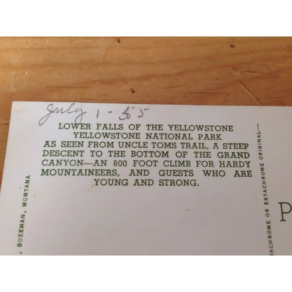 1955 Vintage Yellowstone Lower Waterfall Haynes Curteich Color Unposted Postcard